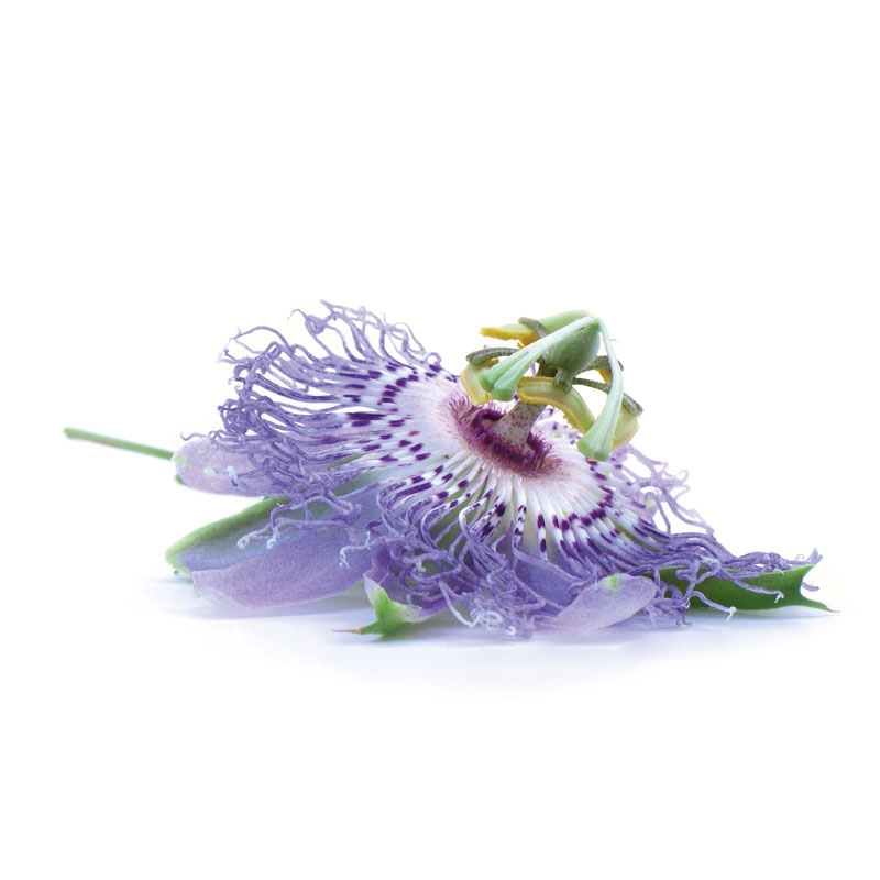 Passionsblume (Passiflora incarnata) - Wirkstoffe Pascoe Naturmedizin 